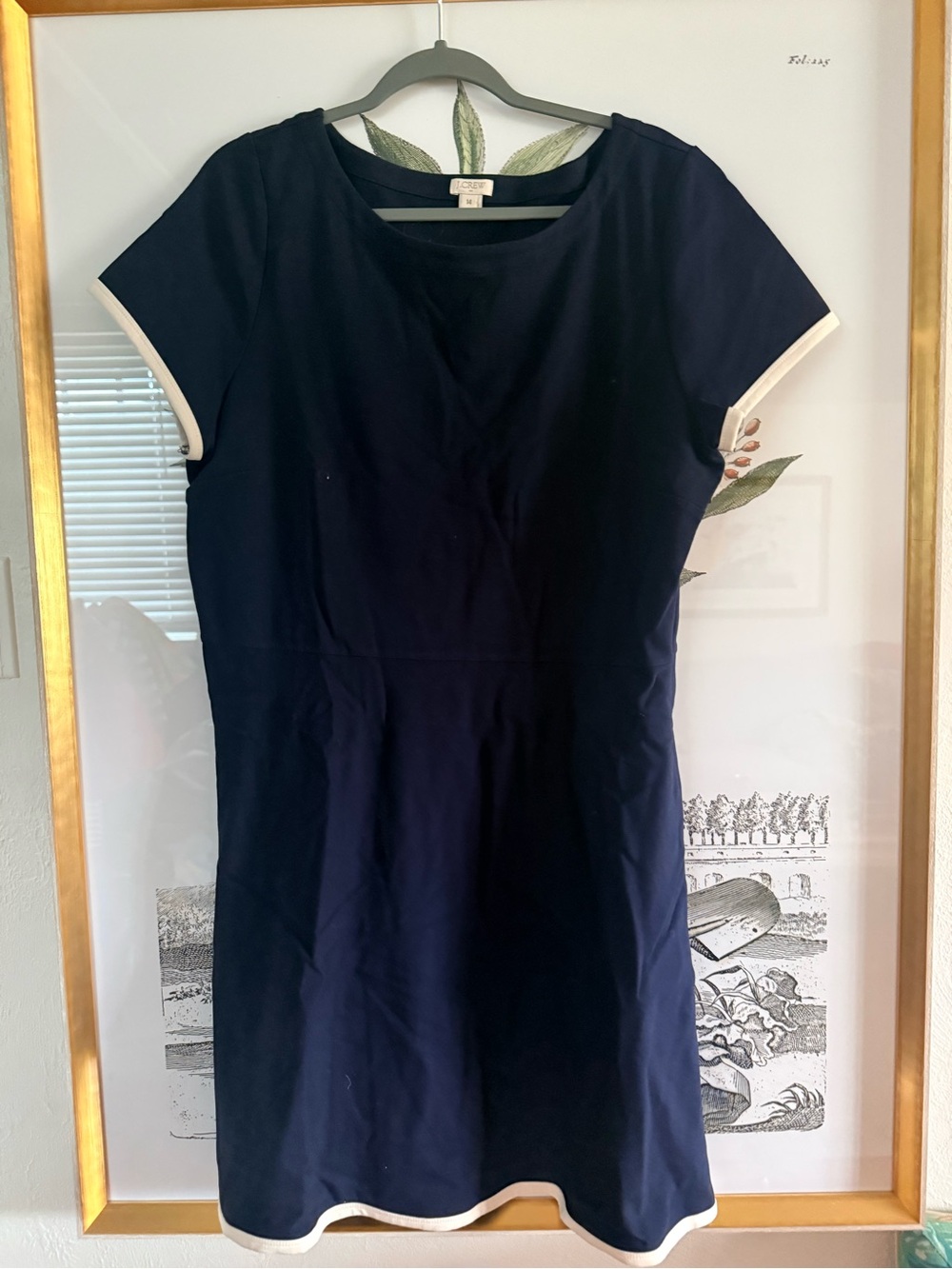 J. Crew Navy Midi Shift Dress with Cream Trim